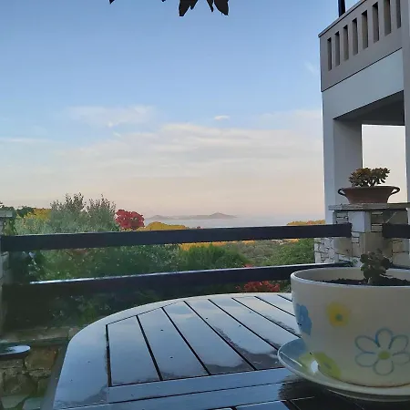 Old Village فيلة *