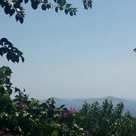 Old Village Alónnisos