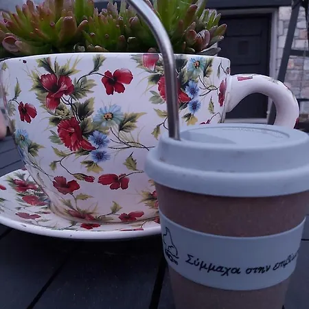 Old Village Villa Alónnisos