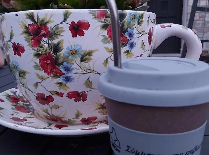 Old Village Villa Alónnisos